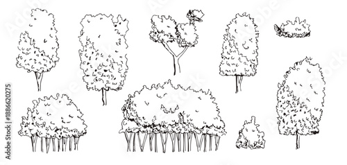 Sketch doodle bushes and tree doodle sketches in black ink line. Forest and garden plants, shrub with detailed outline work. Vector botanical illustrations perfect for nature design project.