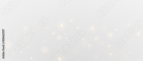 Particle dust white glitter particles stardust sparkle magical glow shine.
