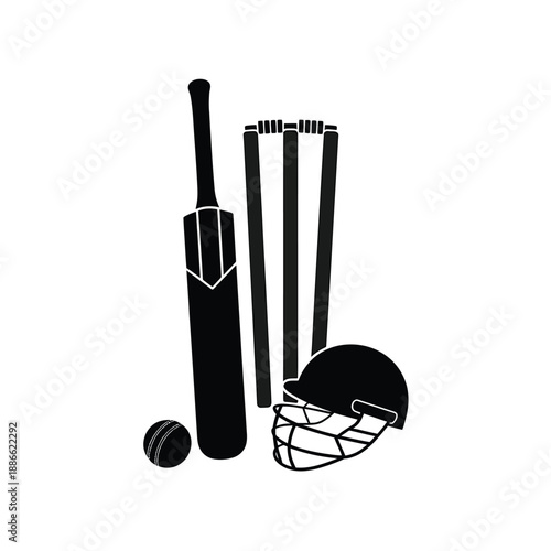 Cricket equipment including bat ball wickets helmet and protective gear