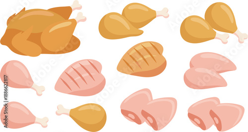 Hand-Drawn Raw and Cooked Chicken Meat Illustration Set Featuring Whole Roast and Fresh Cuts