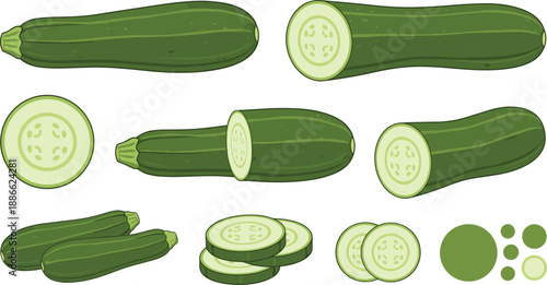 Zucchini and Sliced Courgette Illustration Set Featuring Whole and Cut Green Vegetables in Flat Vector Style