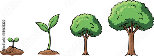 Plant growth stages illustration, seedling sprout sapling mature tree development, nature lifecycle concept, gardening botany vector, education, diagram
