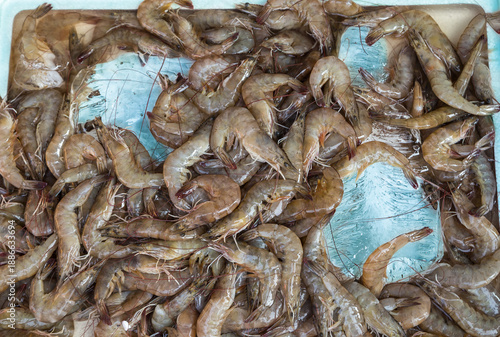 Fresh raw shrimp piled in a tray, showcasing seafood texture and natural colors.