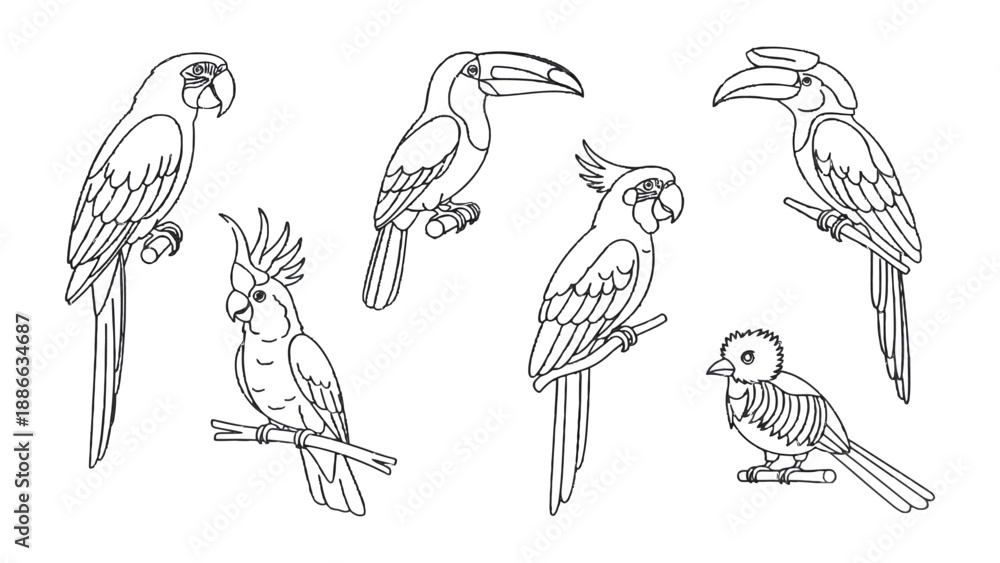 Fototapeta premium Bird Sketches: Delicate line drawings of various bird species, each perched gracefully, showcase the elegance and diversity of the avian world, an invitation to embrace nature's artistic expression.
