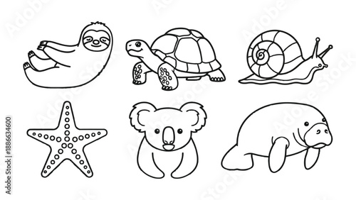 Animal Sketches Collection: A charming collection of various line drawings featuring a variety of adorable animals, offering a delightful visual resource for creative projects.