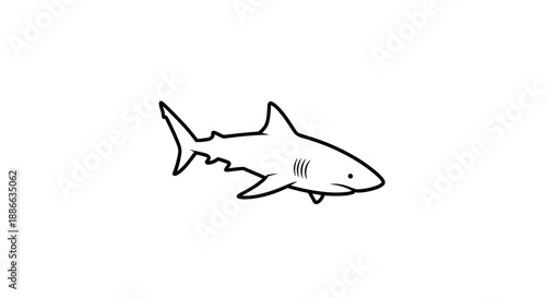 Simple Line Drawing of a Shark.
