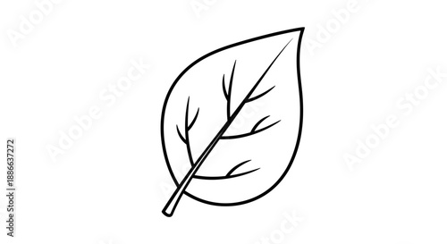 Simple Outline Drawing of a Single Leaf with Veins.