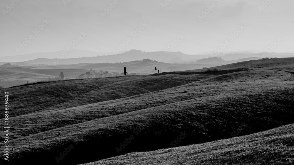 Fototapeta premium Italia panorami della Toscana in bianco e nero. Provincia di Siena,Val D'Orcia e Chianti Senese. Toscana, Italia 