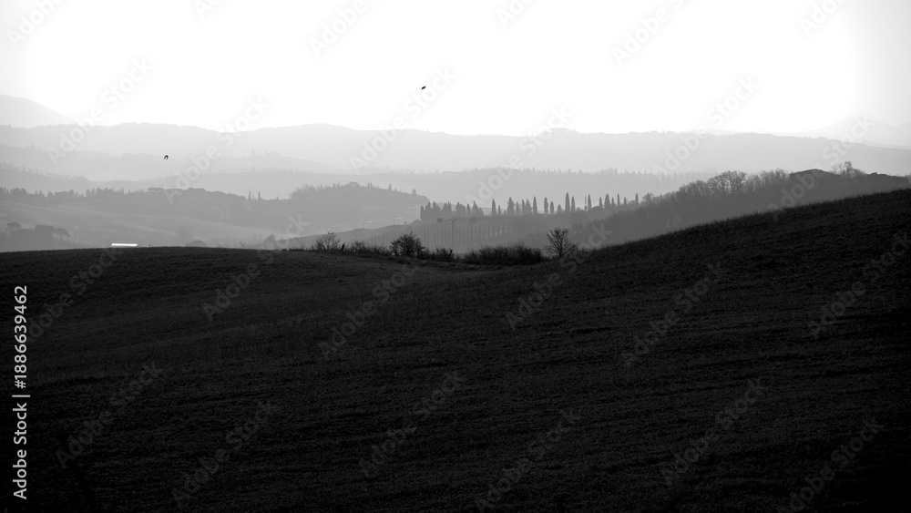 Obraz premium Italia panorami della Toscana in bianco e nero. Provincia di Siena,Val D'Orcia e Chianti Senese. Toscana, Italia 
