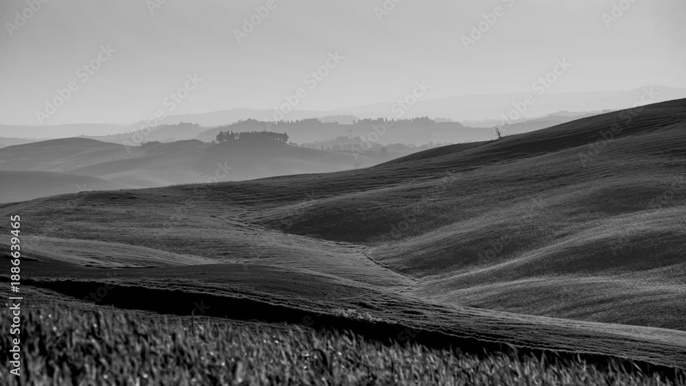 Obraz premium Italia panorami della Toscana in bianco e nero. Provincia di Siena,Val D'Orcia e Chianti Senese. Toscana, Italia 