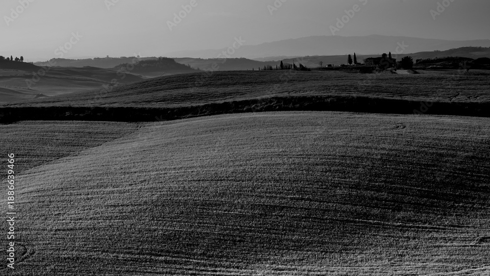 Obraz premium Italia panorami della Toscana in bianco e nero. Provincia di Siena,Val D'Orcia e Chianti Senese. Toscana, Italia 