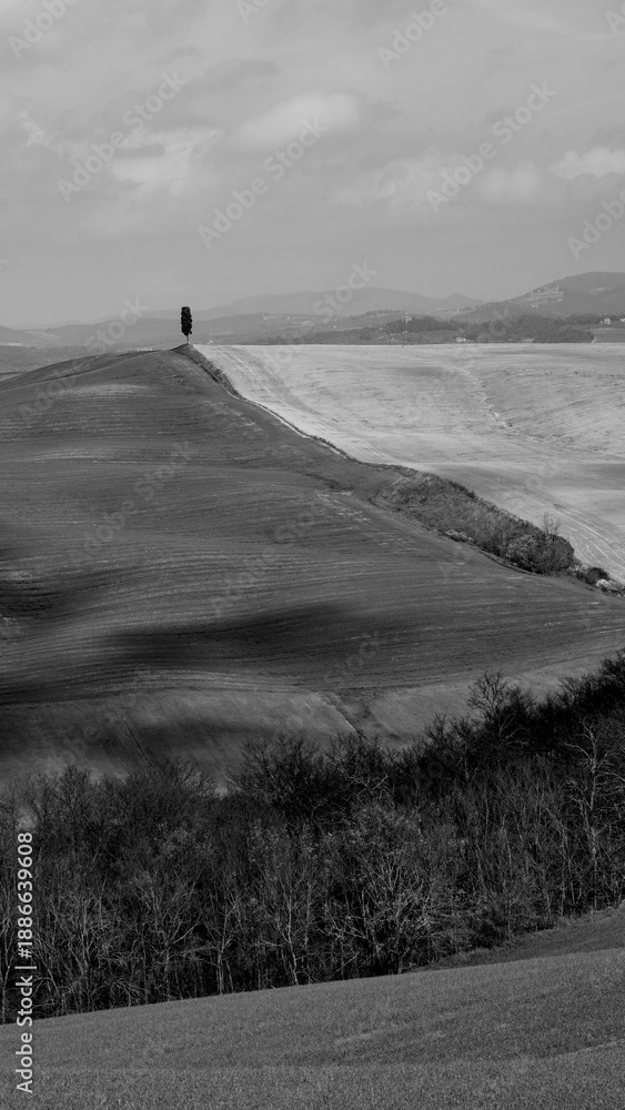 Obraz premium Italia panorami della Toscana in bianco e nero. Provincia di Siena,Val D'Orcia e Chianti Senese. Toscana, Italia 