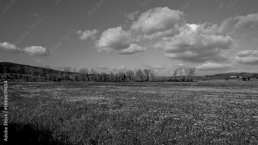 Naklejka premium Italia panorami della Toscana in bianco e nero. Provincia di Siena,Val D'Orcia e Chianti Senese. Toscana, Italia 