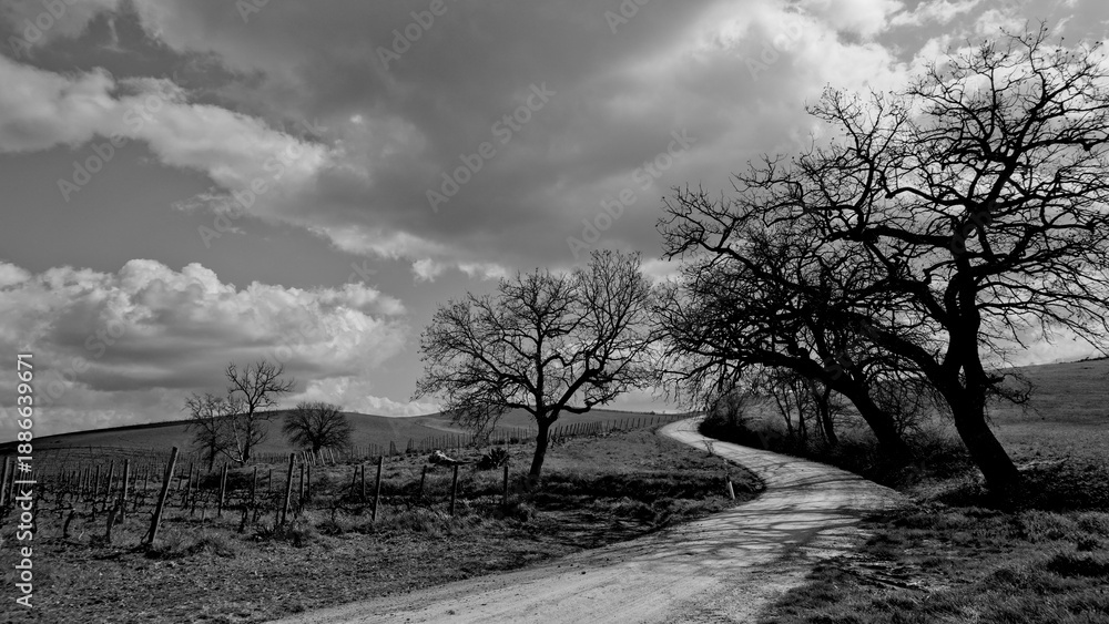 Obraz premium Italia panorami della Toscana in bianco e nero. Provincia di Siena,Val D'Orcia e Chianti Senese. Toscana, Italia 