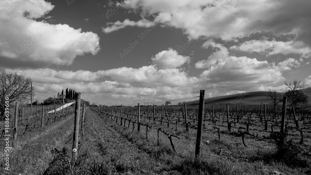 Fototapeta premium Italia panorami della Toscana in bianco e nero. Provincia di Siena,Val D'Orcia e Chianti Senese. Toscana, Italia 