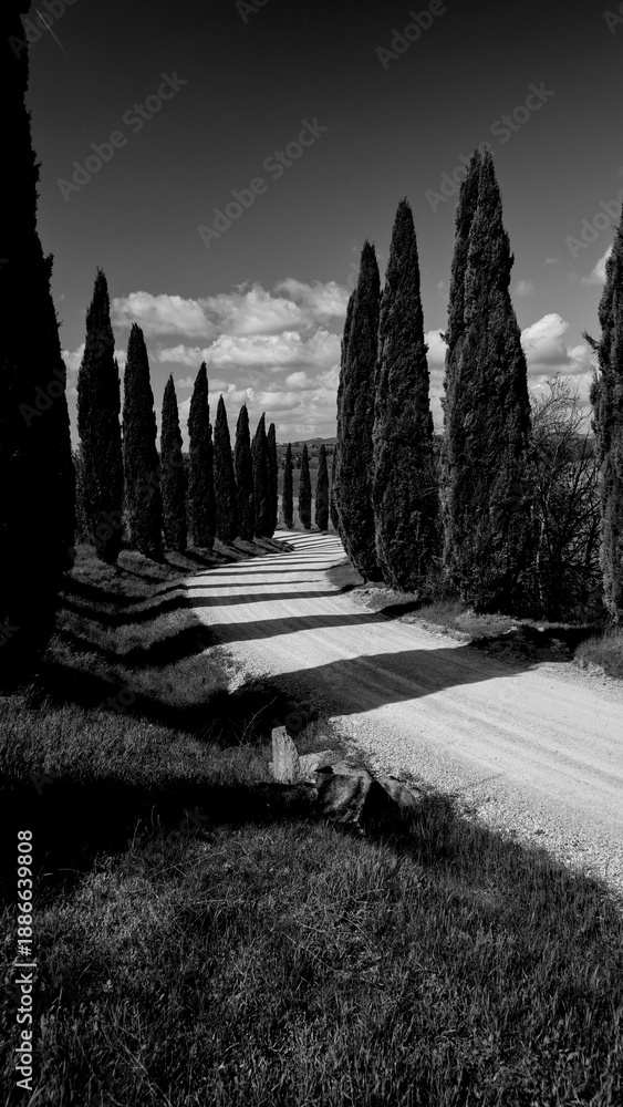 Obraz premium Italia panorami della Toscana in bianco e nero. Provincia di Siena,Val D'Orcia e Chianti Senese. Toscana, Italia 