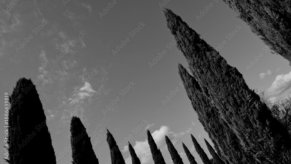 Obraz premium Italia panorami della Toscana in bianco e nero. Provincia di Siena,Val D'Orcia e Chianti Senese. Toscana, Italia 
