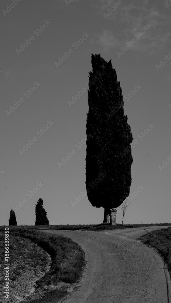 Naklejka premium Italia panorami della Toscana in bianco e nero. Provincia di Siena,Val D'Orcia e Chianti Senese. Toscana, Italia 