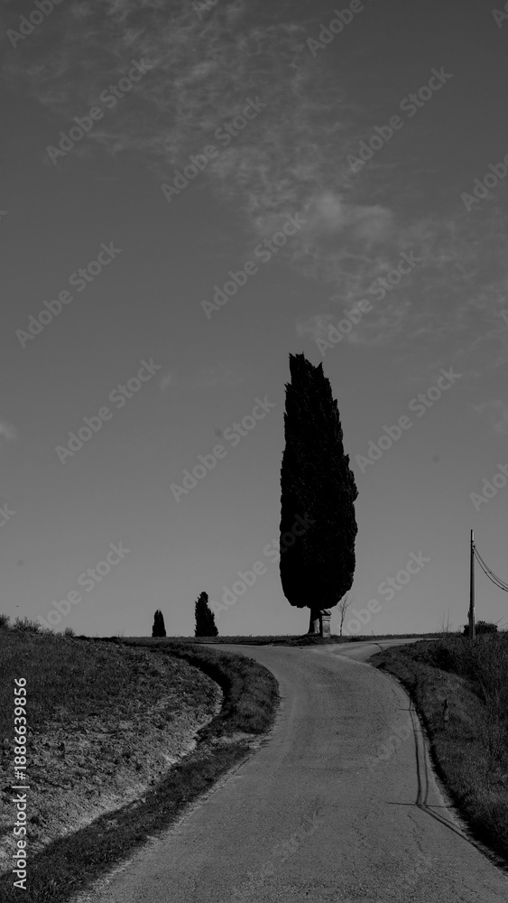 Fototapeta premium Italia panorami della Toscana in bianco e nero. Provincia di Siena,Val D'Orcia e Chianti Senese. Toscana, Italia 