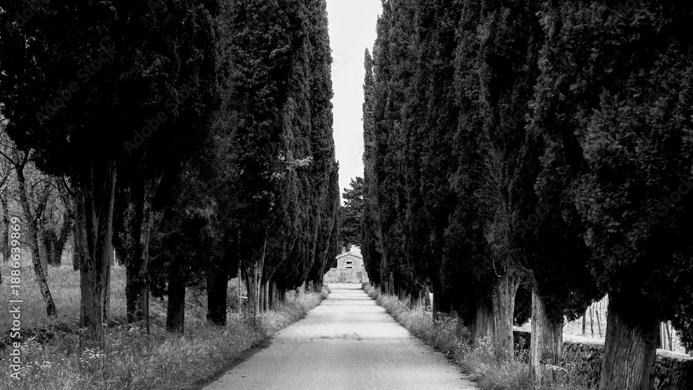 Obraz premium Italia panorami della Toscana in bianco e nero. Provincia di Siena,Val D'Orcia e Chianti Senese. Toscana, Italia 