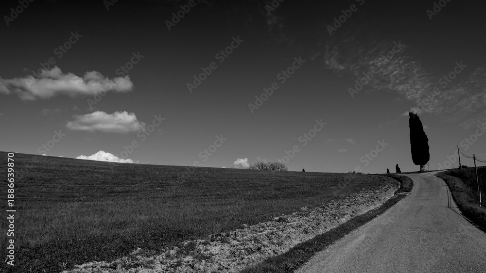 Fototapeta premium Italia panorami della Toscana in bianco e nero. Provincia di Siena,Val D'Orcia e Chianti Senese. Toscana, Italia 
