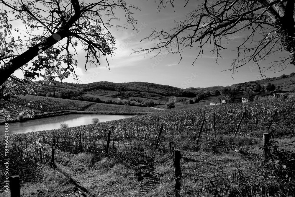 Obraz premium Italia panorami della Toscana in bianco e nero. Provincia di Siena,Val D'Orcia e Chianti Senese. Toscana, Italia 