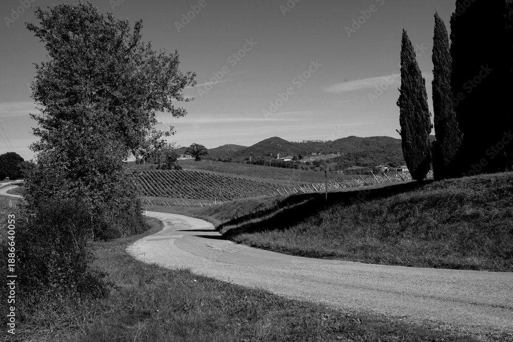 Naklejka premium Italia panorami della Toscana in bianco e nero. Provincia di Siena,Val D'Orcia e Chianti Senese. Toscana, Italia 