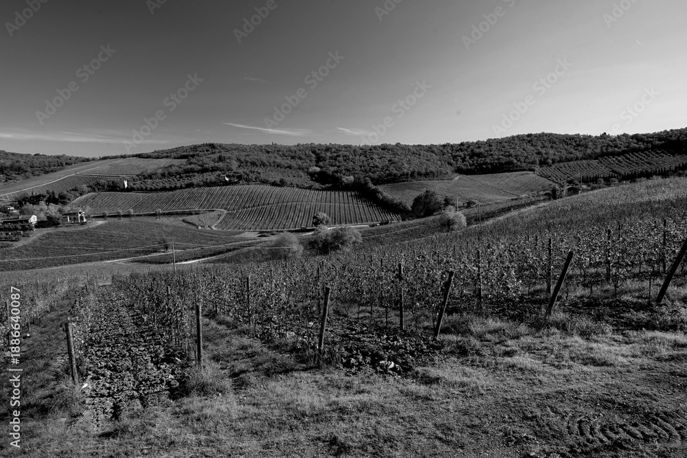 Obraz premium Italia panorami della Toscana in bianco e nero. Provincia di Siena,Val D'Orcia e Chianti Senese. Toscana, Italia 