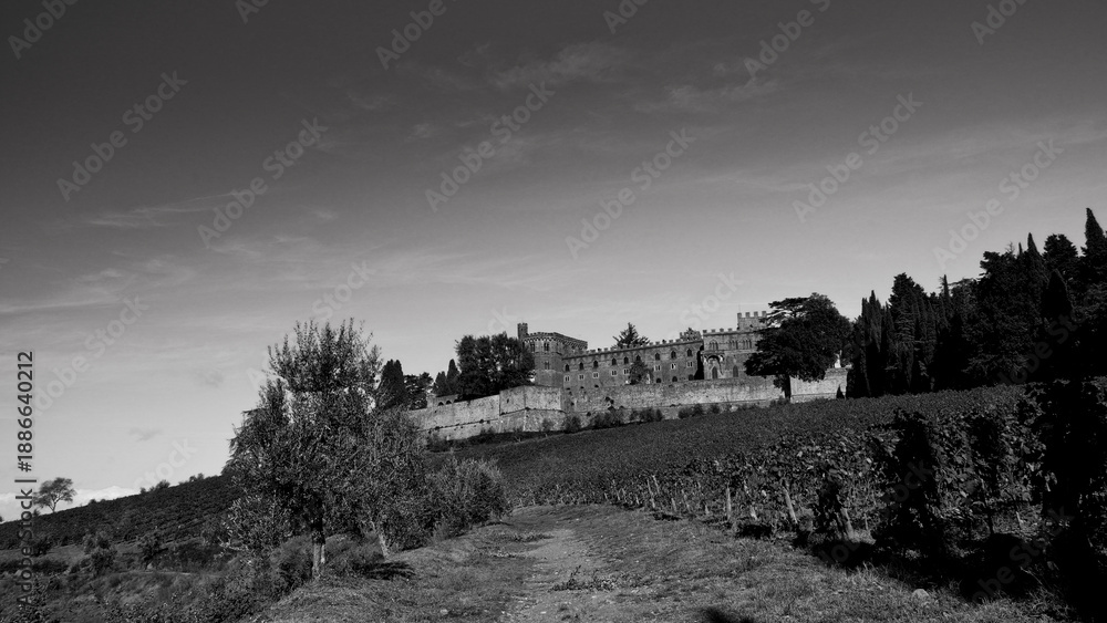 Fototapeta premium Italia panorami della Toscana in bianco e nero. Provincia di Siena,Val D'Orcia e Chianti Senese. Toscana, Italia 