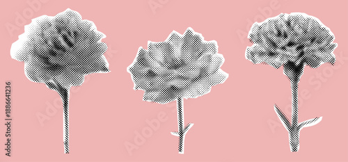 Set of beautiful flowers in halftone style,collage elements cut out from paper