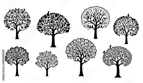 Hand drawn orange fruit outline vector set with flowers and leaves botanical illustration