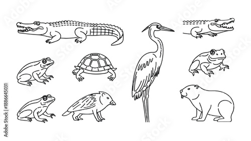 Wildlife Lineup: A carefully curated collection of detailed line art illustrations, featuring a diverse array of animals in a clean, minimalist style.