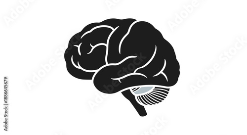 Stylized Silhouette of Human Brain with Cerebellum.