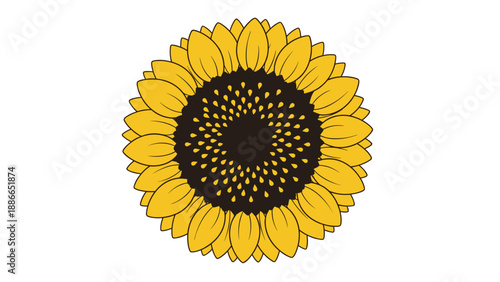 Vibrant sunflower illustration showcasing detailed petals and central seed head against white background.
