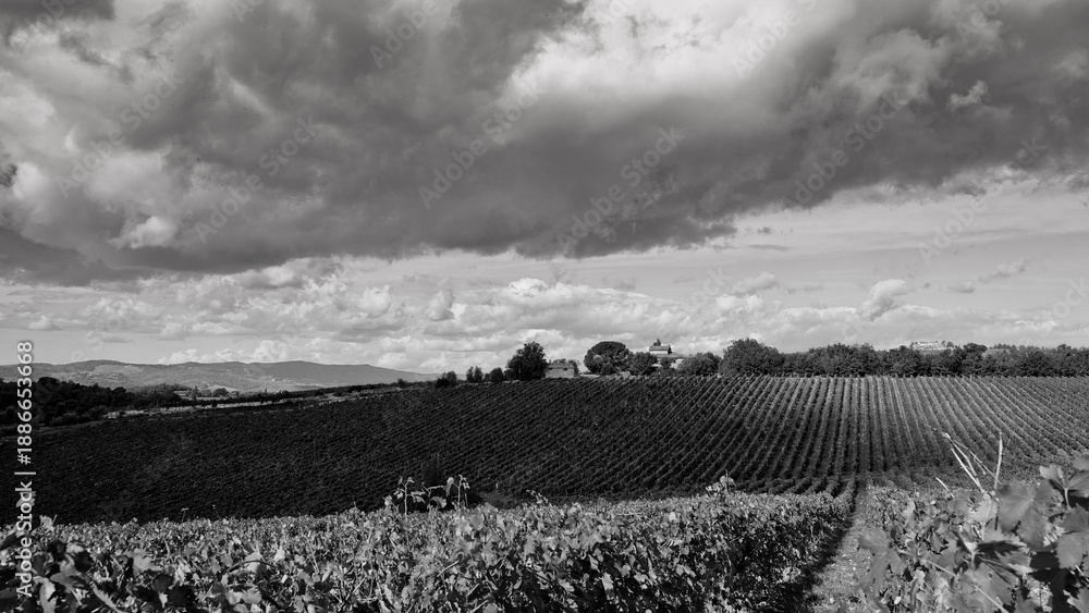 Naklejka premium Italia panorami della Toscana in bianco e nero. Provincia di Siena,Val D'Orcia e Chianti Senese. Toscana, Italia 