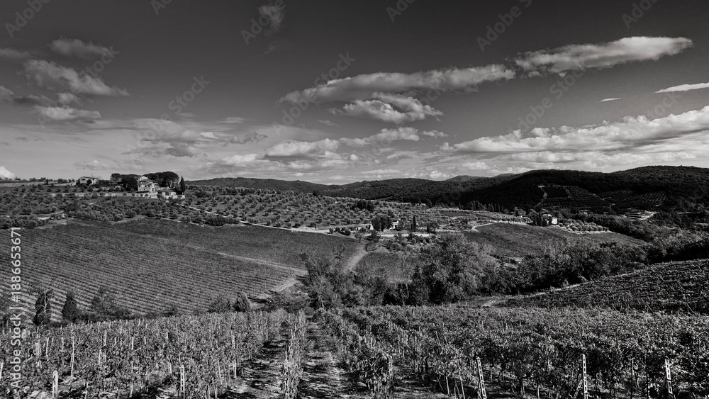 Obraz premium Italia panorami della Toscana in bianco e nero. Provincia di Siena,Val D'Orcia e Chianti Senese. Toscana, Italia 