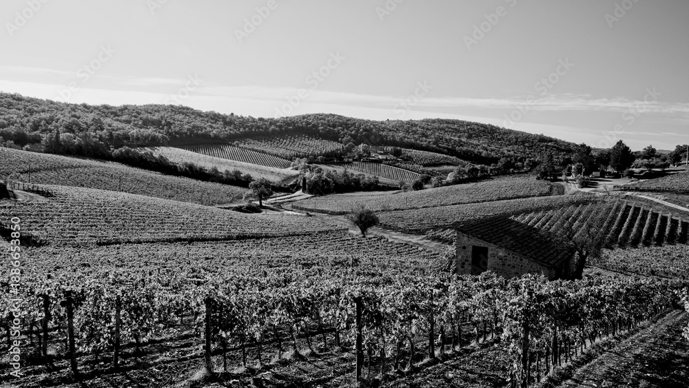 Obraz premium Italia panorami della Toscana in bianco e nero. Provincia di Siena,Val D'Orcia e Chianti Senese. Toscana, Italia 