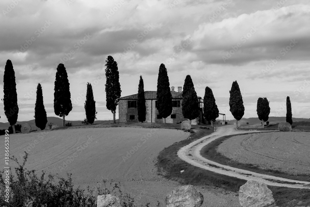 Fototapeta premium Italia panorami della Toscana in bianco e nero. Provincia di Siena,Val D'Orcia e Chianti Senese. Toscana, Italia 