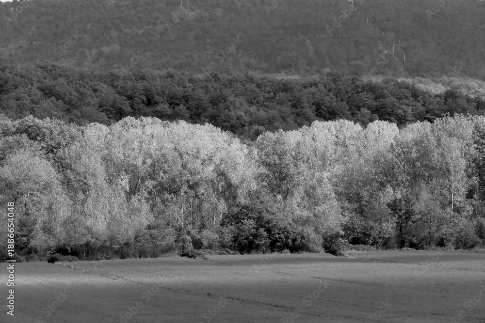 Obraz premium Italia panorami della Toscana in bianco e nero. Provincia di Siena,Val D'Orcia e Chianti Senese. Toscana, Italia 