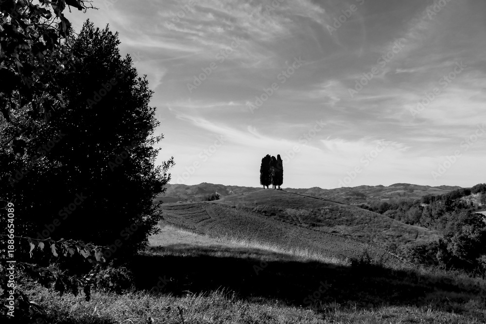 Obraz premium Italia panorami della Toscana in bianco e nero. Provincia di Siena,Val D'Orcia e Chianti Senese. Toscana, Italia 