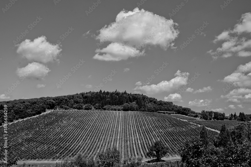 Obraz premium Italia panorami della Toscana in bianco e nero. Provincia di Siena,Val D'Orcia e Chianti Senese. Toscana, Italia 