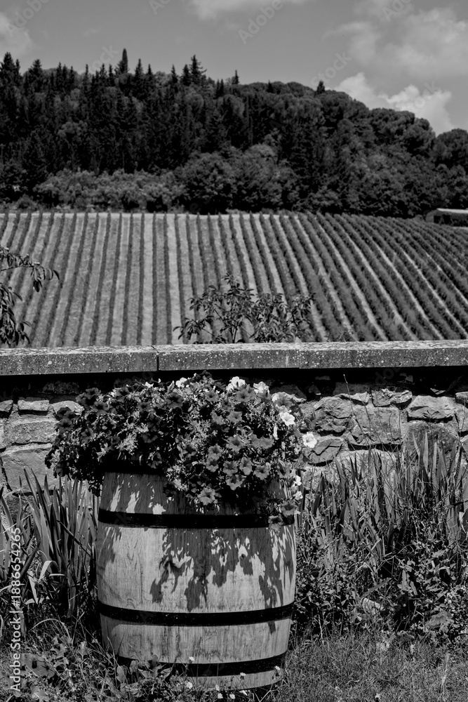 Naklejka premium Italia panorami della Toscana in bianco e nero. Provincia di Siena,Val D'Orcia e Chianti Senese. Toscana, Italia 