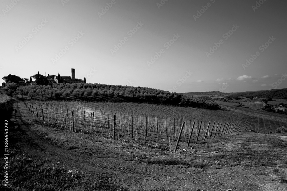 Obraz premium Italia panorami della Toscana in bianco e nero. Provincia di Siena,Val D'Orcia e Chianti Senese. Toscana, Italia 