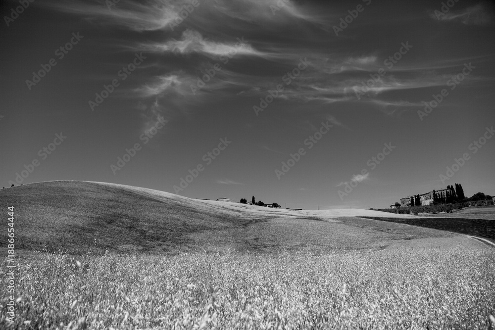 Obraz premium Italia panorami della Toscana in bianco e nero. Provincia di Siena,Val D'Orcia e Chianti Senese. Toscana, Italia 