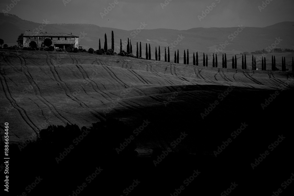 Obraz premium Italia panorami della Toscana in bianco e nero. Provincia di Siena,Val D'Orcia e Chianti Senese. Toscana, Italia 