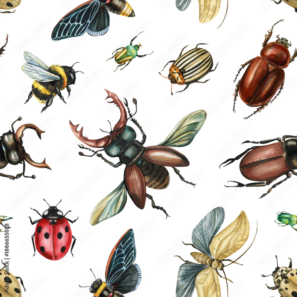 Fototapeta premium Watercolor insect pattern with beetles moths bumblebee and ladybug on white background for fabric wallpaper