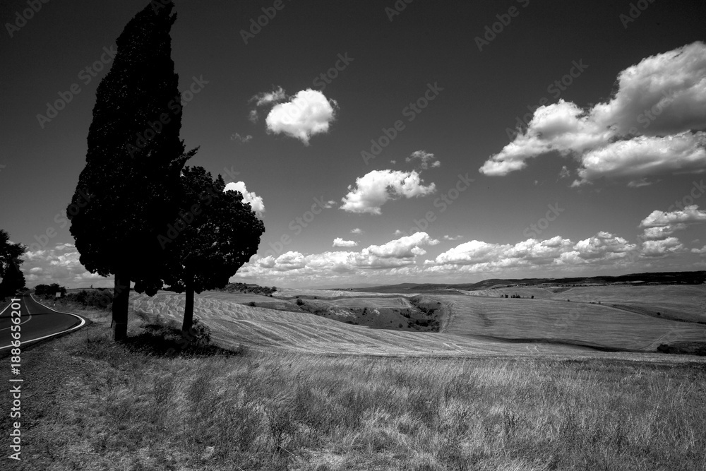 Naklejka premium Italia panorami della Toscana in bianco e nero. Provincia di Siena,Val D'Orcia e Chianti Senese. Toscana, Italia 