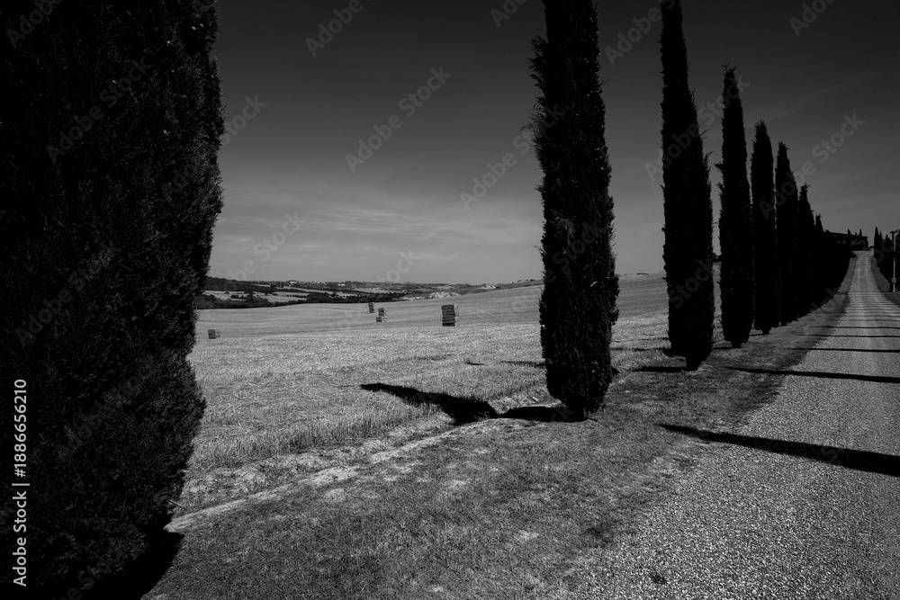 Obraz premium Italia panorami della Toscana in bianco e nero. Provincia di Siena,Val D'Orcia e Chianti Senese. Toscana, Italia 