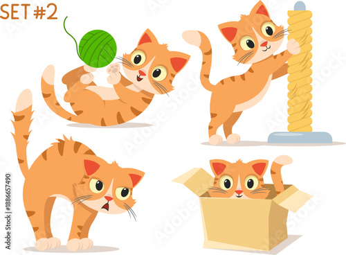 Set of character cats. Cat playing, sharpening its claws, arching its back and yowling, sitting in a box, close-up on a white background.
