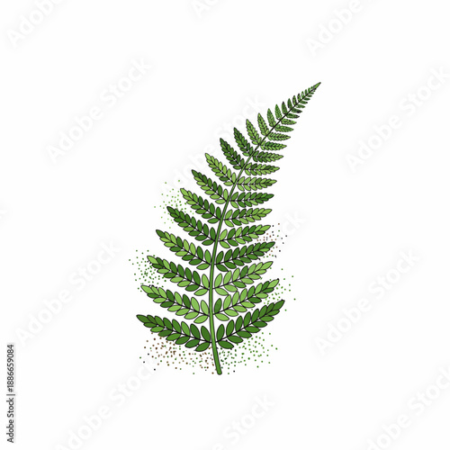 Stylized green fern frond illustration on white background with subtle speckles